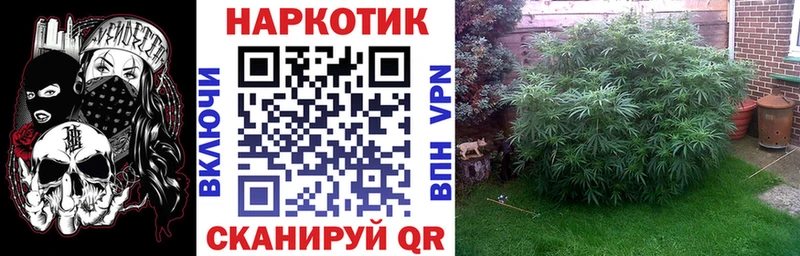 Названия наркотиков Мензелинск АМФЕТАМИН ГАШ МАРИХУАНА КОКАИН
