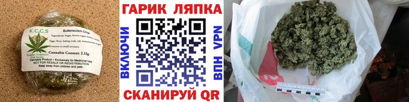 где продают наркотики  Мензелинск  Canna-Cookies конопля 