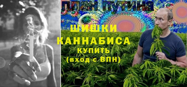 Альфа ПВП Бородино
