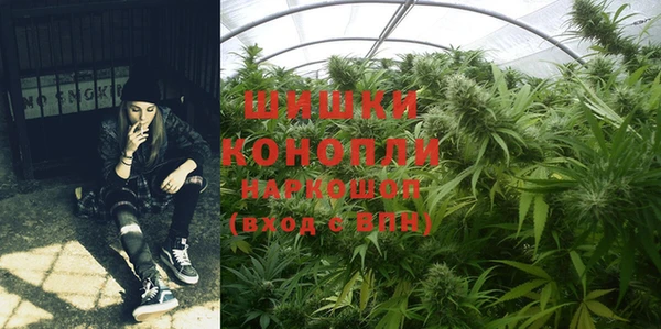 шишки Бронницы