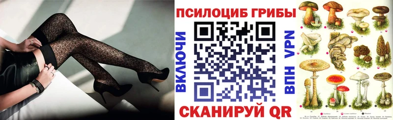 Галлюциногенные грибы Cubensis  Мензелинск 